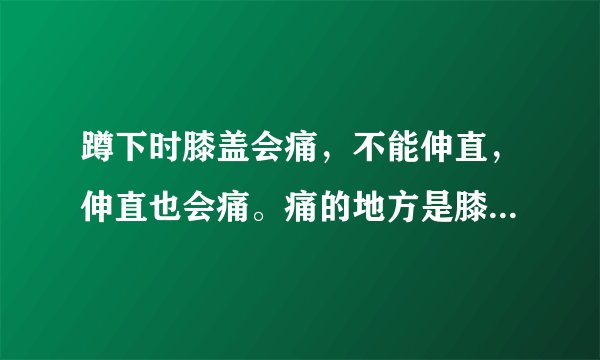蹲下时膝盖会痛，不能伸直，伸直也会痛。痛的地方是膝...