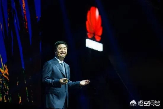 华为不是上市公司为什么有年报