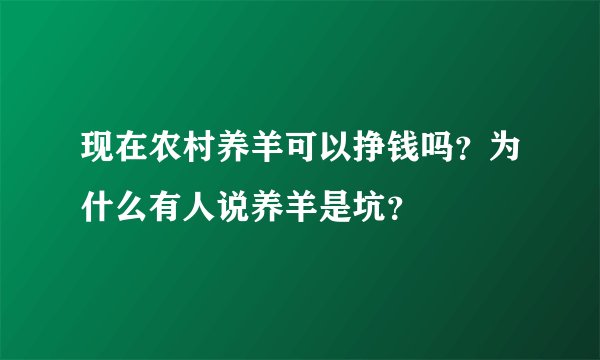 现在农村养羊可以挣钱吗？为什么有人说养羊是坑？
