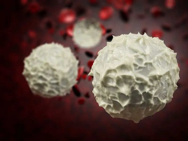 凝血因子是什么