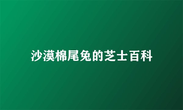 沙漠棉尾兔的芝士百科