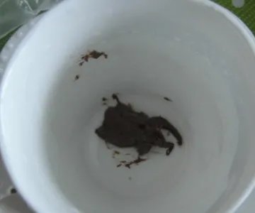 卡布奇诺咖啡的做法