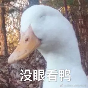 双鱼座男生和天蝎座女生合适吗?