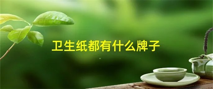 卫生纸都有什么牌子