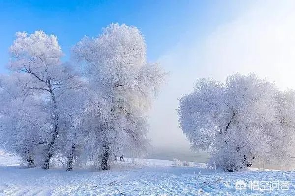 上联:春鸟夏鸣秋虫冬去,下联怎么对?