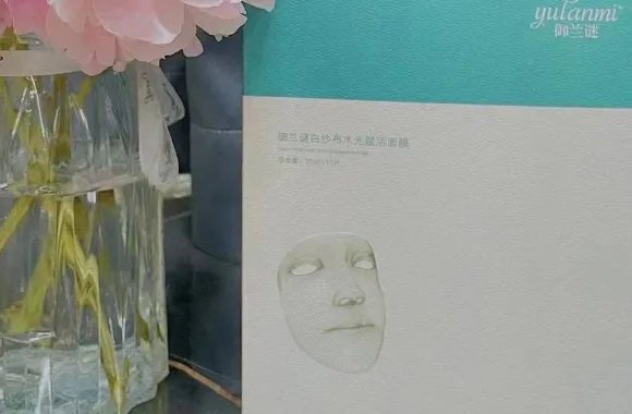 面膜排行榜前十名