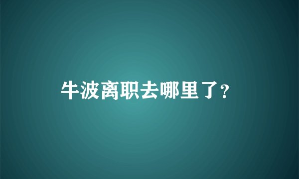 牛波离职去哪里了？