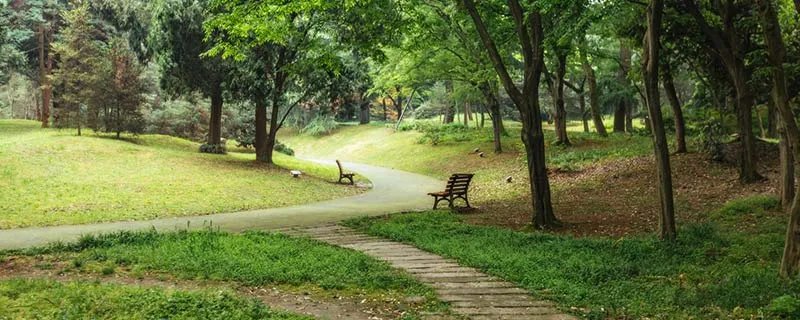 2021长沙植物园游玩攻略 长沙植物园有什么好玩的