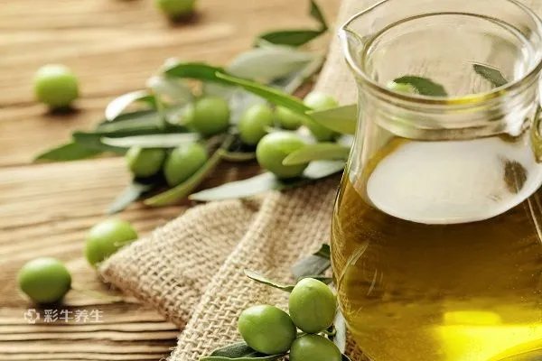 橄榄油的功效与作用及食用方法