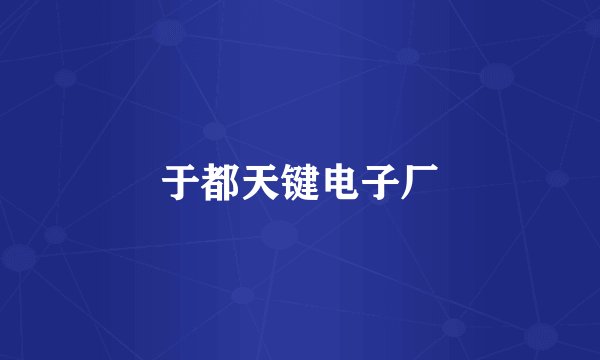 于都天键电子厂