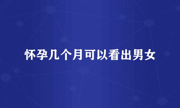 怀孕几个月可以看出男女