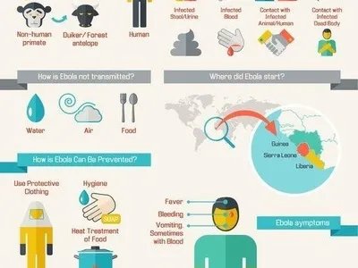 复旦儿科医联体获中国医院协会2017年医院科技创新奖及上海市“医疗服务品牌”