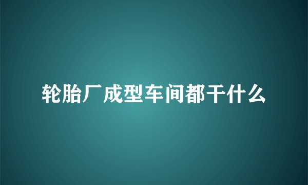 轮胎厂成型车间都干什么