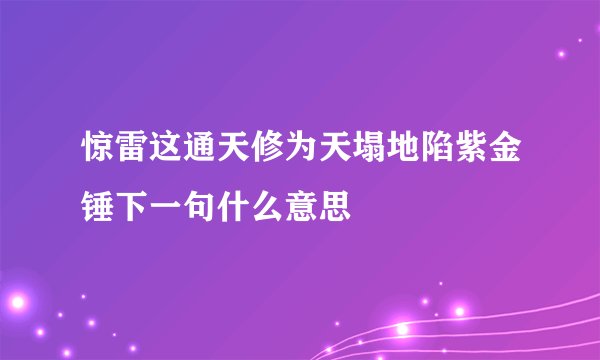 惊雷这通天修为天塌地陷紫金锤下一句什么意思