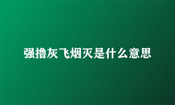 强撸灰飞烟灭是什么意思