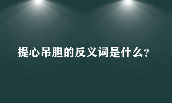 提心吊胆的反义词是什么？
