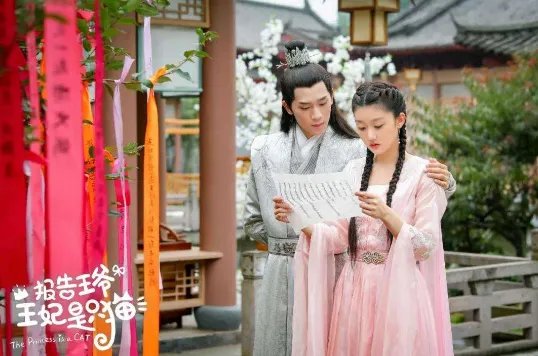 《报告王爷，王妃是只猫》一共有几集？在哪里能看？