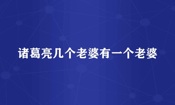 诸葛亮几个老婆有一个老婆