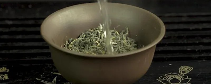 毛尖属于什么茶