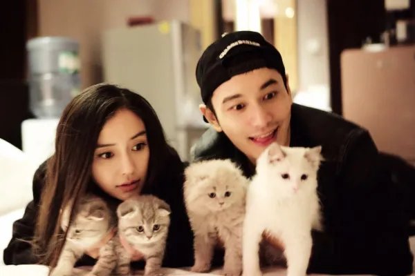 黄晓明为什么离婚