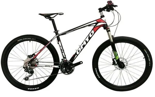 2020自行车品牌排行榜_十大自行车品牌大全