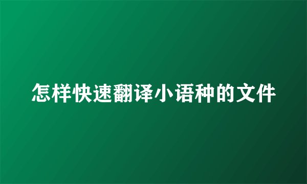怎样快速翻译小语种的文件