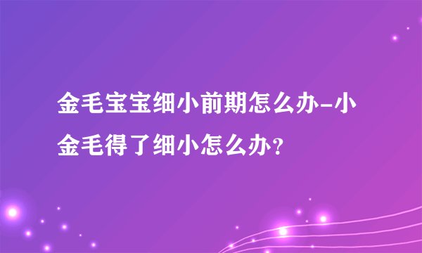 金毛宝宝细小前期怎么办-小金毛得了细小怎么办？