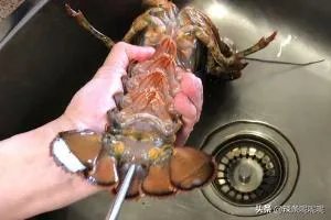 清蒸波士顿龙虾做法？