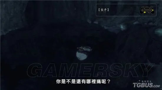 《最后的守护者》图文攻略 全章节图文流程攻略