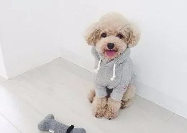 带牙套的好处和坏处都有哪些