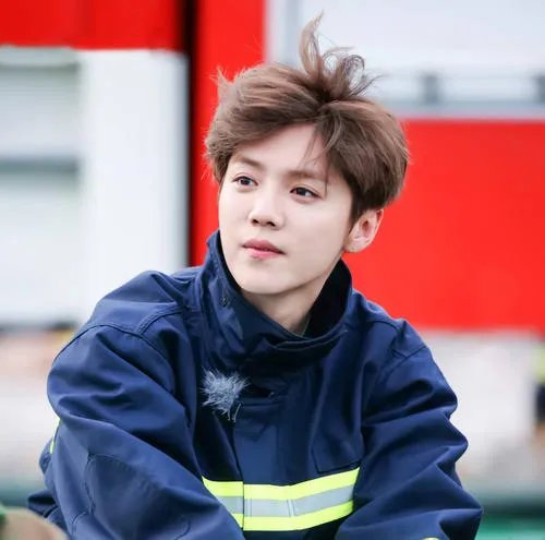 鹿晗七龙珠是什么梗