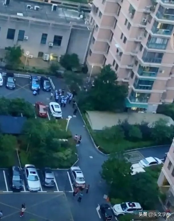 来女士到底怎么失踪的