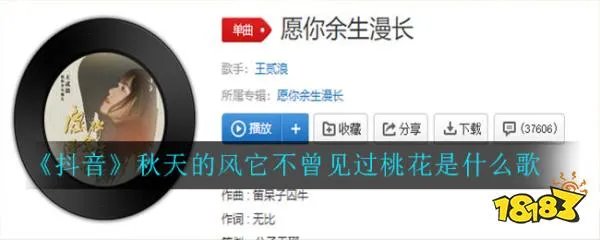 《抖音》秋天的风它不曾见过桃花是什么歌