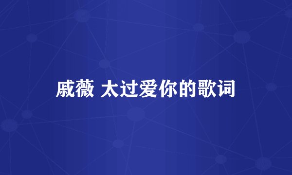 戚薇 太过爱你的歌词