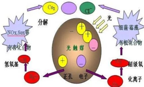 什么东西可以吸收甲醛