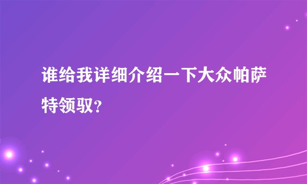 谁给我详细介绍一下大众帕萨特领驭？