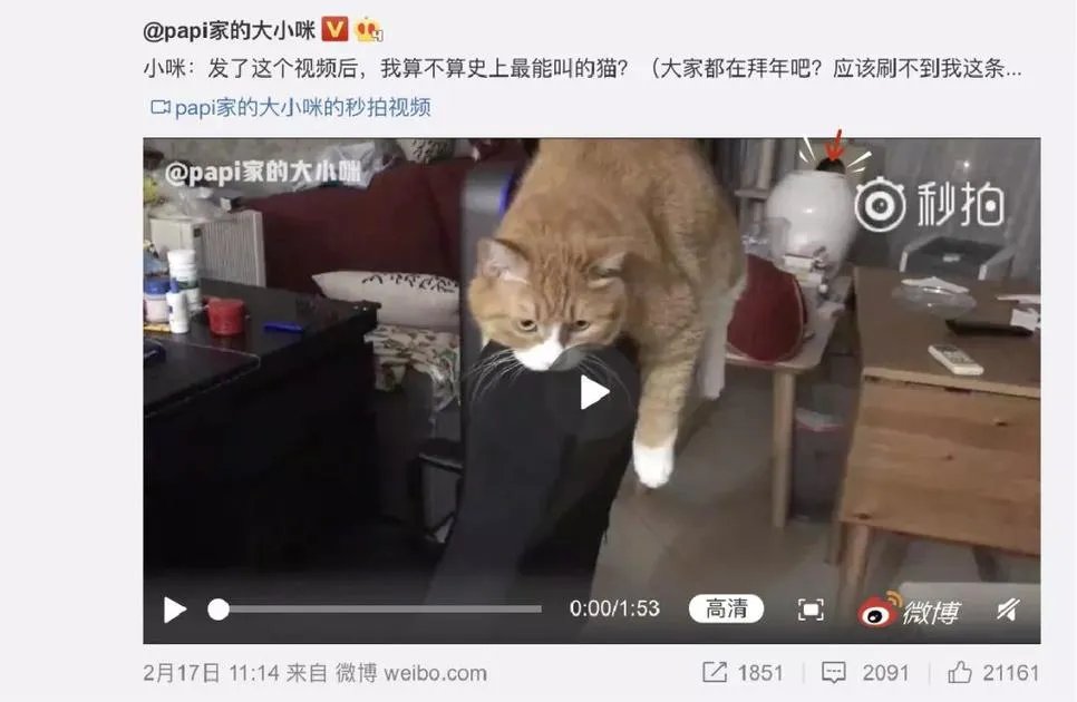 那些不被岁月侵染的女神们，都想收到什么礼物？