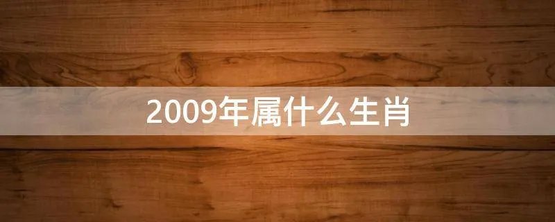 2009年属什么生肖