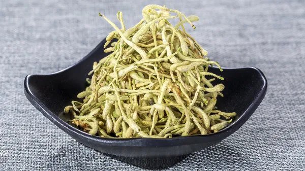 清热利湿的中药