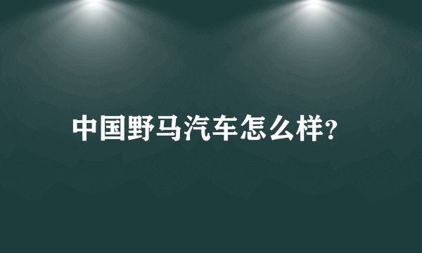 中国野马汽车怎么样？