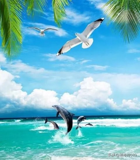 你喜欢大海吗,为什么喜欢大海?