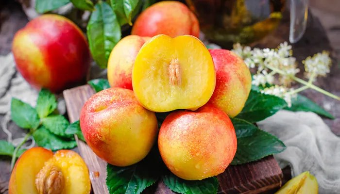 桃子是热性还是凉性 桃子是热性吗