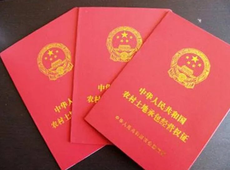 他权证是什么意思