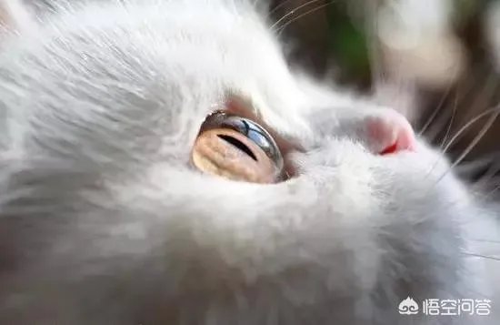 大家都用什么类型的微信头像?