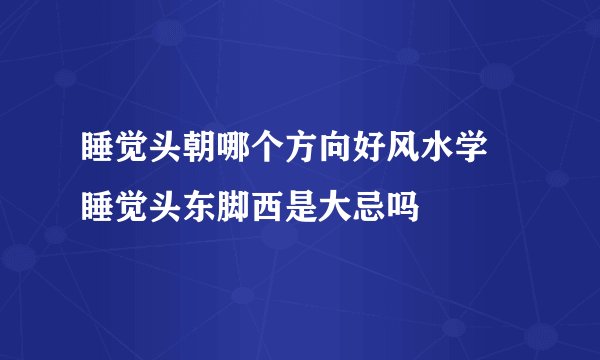 睡觉头朝哪个方向好风水学 睡觉头东脚西是大忌吗