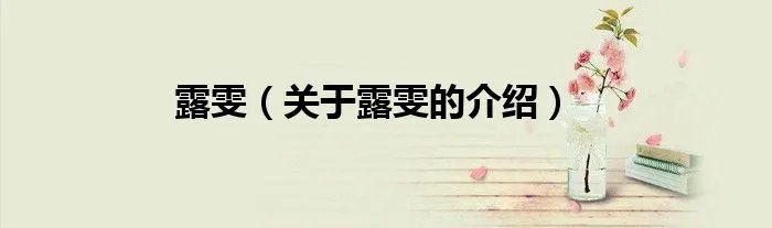 露雯（关于露雯的介绍）