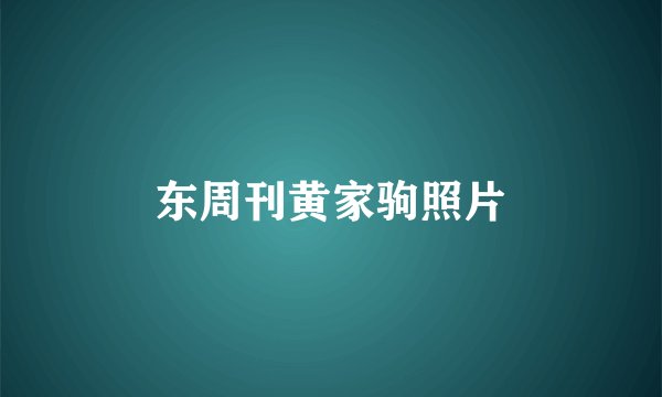 东周刊黄家驹照片