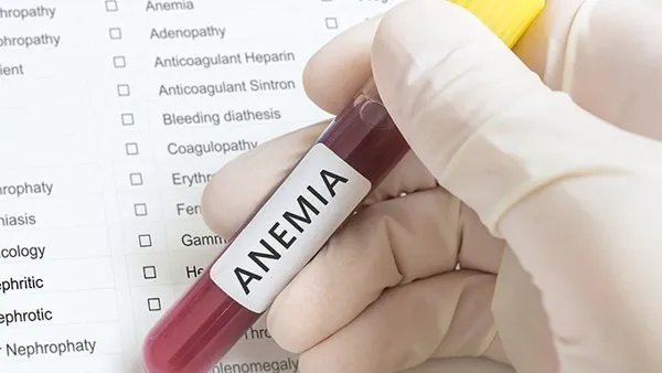 白细胞高的原因有哪些