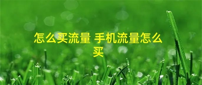 怎么买流量 手机流量怎么买