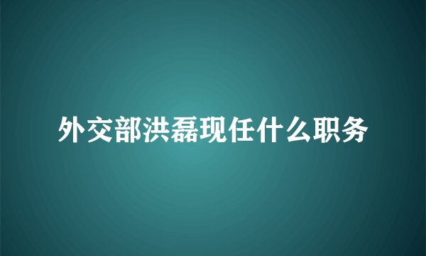 外交部洪磊现任什么职务